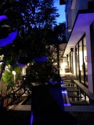 Bukit Timah Road (D10), Semi-Detached #502580231